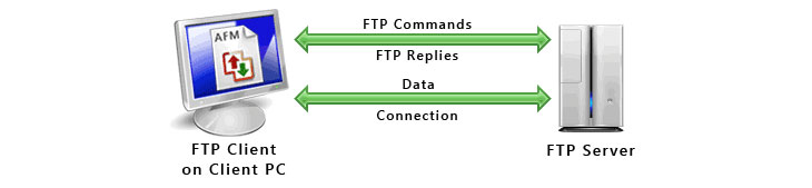 FTP Protocol