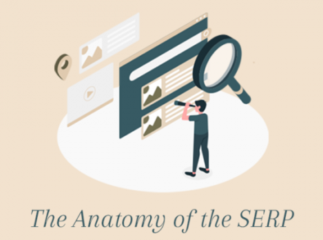 The Anatomy of the SERP