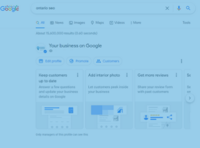 Google Business Profile interface