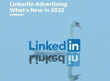 What is new in LinkedIn Advertising, is it still an ugly duckling or a swan?