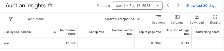 Screenshot of Google Ads Auction Insights