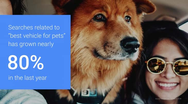 Best Vehicle For Pets search has grown nearly 80% in the last year